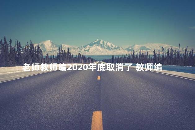 老师教师编2020年底取消了 教师编制取消了吗